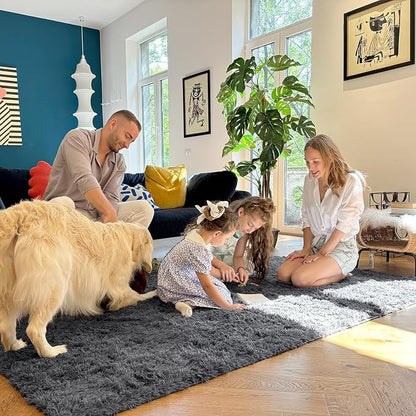 OLANLY 4x5 Machine Washable Accent Rug, Soft Fluffy Shaggy Area Rug for Bedroom, Living Room, Indoor Floor Carpet for Kids, Nursery, Home Decor, Grey
