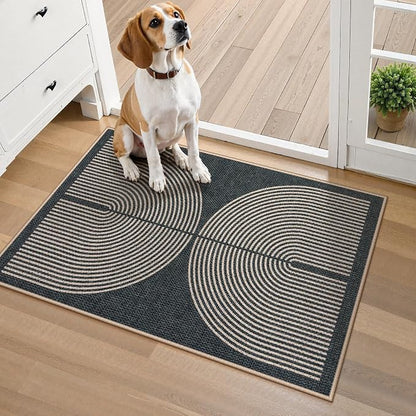 Lahome Enfys Rainbow Indoor Door Mat, 20"x32" Small Black Rugs for Entryway Kitchen Neutral Area Rug, Farmhouse Non Slip Non Shedding Lightweight Floor Carpet for Front Porch