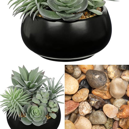 Hollyone Artificial Succulents in Pots Fake Plants Faux Succulent Flowers Arrangement Potted Plant in Vase Black Ceramic Planter Bowl Office Desk Bathroom Shelf Indoor Outdoor Home Decor(Sage Green)