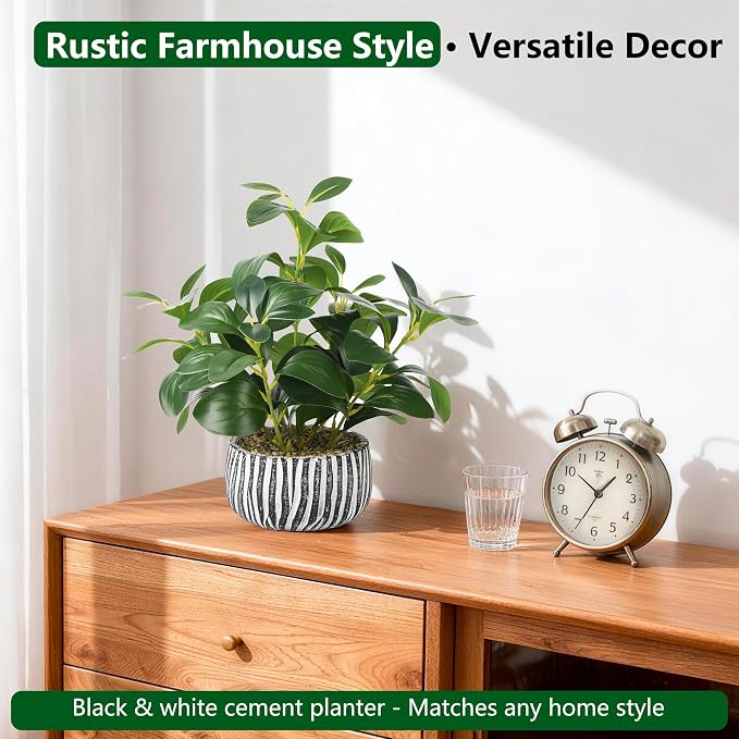 florisso Artificial Succulents with Fig Leaf Greenery in Rustic Clay Planter, Fake Succulents Potted Decor for Farmhouse, Bathroom, Bedroom, Kitchen, Office Desk and Coffee Table (Black White)