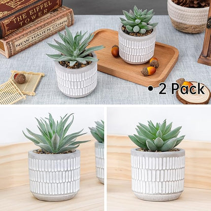 Der Rose Set of 2 Succulents Plants Artificial Fake Cactus Plants for Living Room Bathroom Bedroom Aesthetic Home Shelf Decor