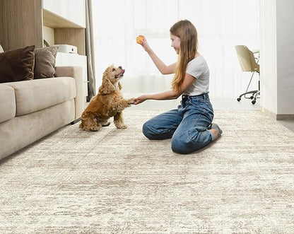 UERMEI 5x8 Washable Area Rug - Neutral Modern Abstract Living Room Rugs, Non-Slip Soft Large Indoor Floor Carpet for Bedroom Home Office & Under Dining Table Decor, Beige/Brown