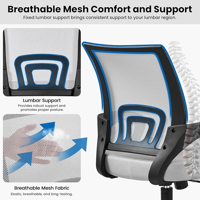 Topeakmart Executive Office Chair Computer Desk Chair for Home Office Student Study Conference Room, Grey