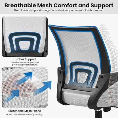 Topeakmart Executive Office Chair Computer Desk Chair for Home Office Student Study Conference Room, Grey