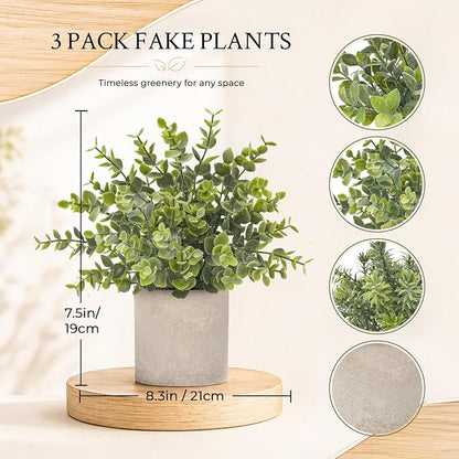 Der Rose 3 Pack Mini Potted Fake Plants Artificial Plastic Eucalyptus Plants Topiaries for Home Office Desk Farmhouse Shelf Room Bathroom Decor(Sage Green)