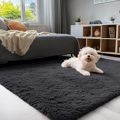 OLANLY 4x7 Area Rugs for Living Room Bedroom, Machine Washable Soft Fluffy Shaggy Bedside Rug, Indoor Floor Carpet for Kids Girls and Boys, Dorms, Nursery Rooms, Home Decor Aesthetic, Black