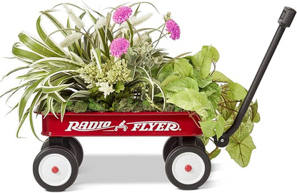 Radio Flyer Mini Classic Red Wagon for Kids, 16.5" Toy Wagon For Kids Aged 1.5+, Play-Size Version of the Classic, Durable Rolling Wheels & Steel Body, Working Handle, For Toys, Crafts & Gift Displays