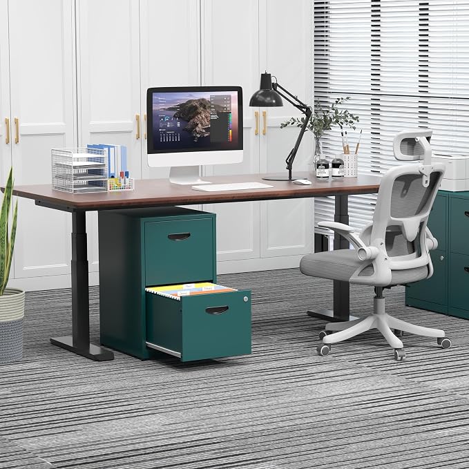 2 Drawer File Cabinet with Lock,Green Metal Filing Cabinets,Vertical Locking File Cabinet Fit Hanging Files, Letter,File Box and A4 Documents