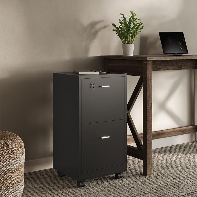 File Cabinet - 2-Drawer Cabinet with Lock and Deep Drawer Storage - Rolling Filing Cabinet for Under The Desk, Home, or Office by Lavish Home (Black)