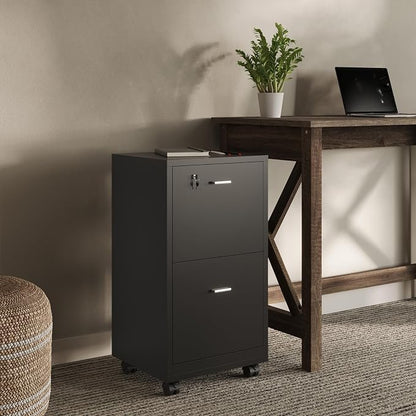 File Cabinet - 2-Drawer Cabinet with Lock and Deep Drawer Storage - Rolling Filing Cabinet for Under The Desk, Home, or Office by Lavish Home (Black)