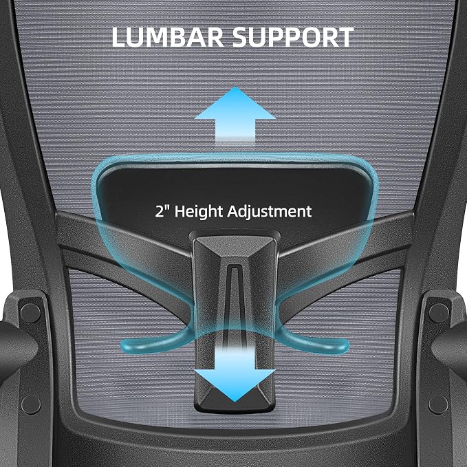 FelixKing Office Chair, Desk Chair with Adjustable Lumbar Support, Ergonomic Computer Chair with High Back and Armrest, Adjustable Height Gaming Chair Home Office Swivel Chair(Dark Gray)