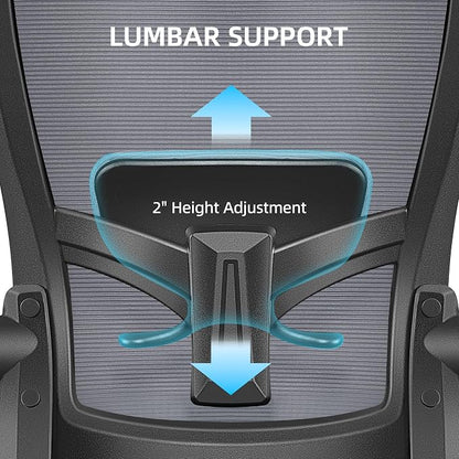 FelixKing Office Chair, Desk Chair with Adjustable Lumbar Support, Ergonomic Computer Chair with High Back and Armrest, Adjustable Height Gaming Chair Home Office Swivel Chair(Dark Gray)