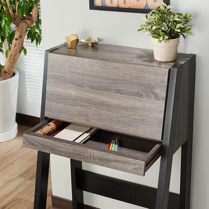 Furniture of America Thelos Drop-Down Surface Cabinet Storage, Computer Desk, Modern Simple Style Desk for Home Office, Study Student Writing Desk