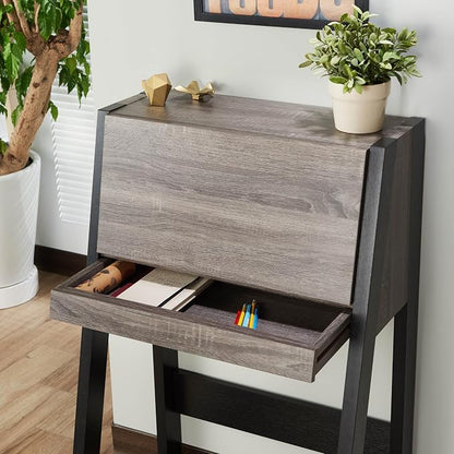 Furniture of America Thelos Drop-Down Surface Cabinet Storage, Computer Desk, Modern Simple Style Desk for Home Office, Study Student Writing Desk