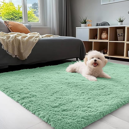 OLANLY 3x5 Machine Washable Small Bedside Rug, Soft Fluffy Shaggy Rugs for Living Room, Bedroom, Indoor Floor Carpet for Kids Girls and Boys, Preppy Dorms, Nursery, Home Decor Aesthetic, Mint Green