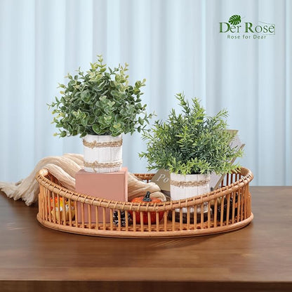 Der Rose 4 Pack Farmhouse Fake Plants Artificial Plants Indoor for Home Kitchen Office Desk Rustic Table Aesthetic Room Decor