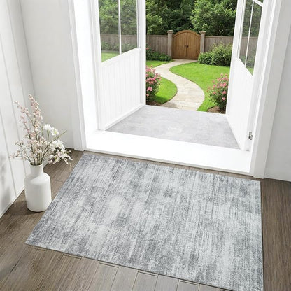BILEEHOME Gray Washable Non Slip Bathroom Rug Modern Aesthetic Abstract 2x3 Rug for Kitchen Floor Small Soft Light Grey Floor Protector Carpet for Entryway Bedside 2 x 3