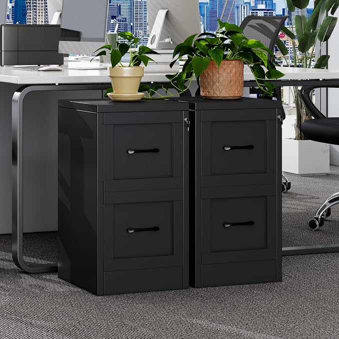 GAIOUS Metal Vertical File Cabinet with Lock, Home Office File Cabinet | 2 Drawer Under Desk Cabinet, Metal Filing Cabinet, Black Lockable Storage Cabinet, Fits Letter/Legal/A4 Size