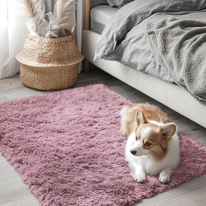 OLANLY 2x3 Machine Washable Small Bedside Rug, Soft Fluffy Shaggy Entryway Throw Rugs for Bedroom, Living Room, Indoor Floor Carpet for Kids Girls and Boys, Nursery Rooms, Home Decor Aesthetic, Blush