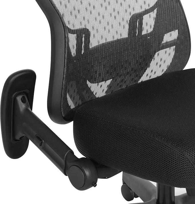Space Seating 529 Series Deluxe R2 SpaceGrid Mesh Back and Memory Foam Seat, 2-to-1 Synchro Tilt Control, Adjustable Tilt Tension, Lumbar Support and Flip Arms Office Chair, Black