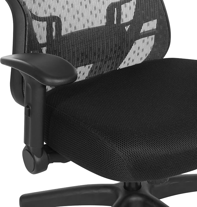 Space Seating 529 Series Deluxe R2 SpaceGrid Mesh Back and Memory Foam Seat, 2-to-1 Synchro Tilt Control, Adjustable Tilt Tension, Lumbar Support and Flip Arms Office Chair, Black