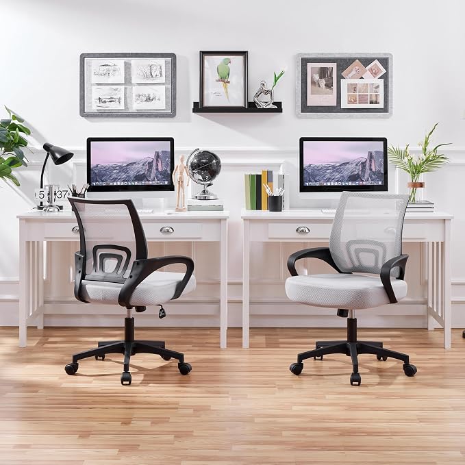 Topeakmart Executive Office Chair Computer Desk Chair for Home Office Student Study Conference Room, Grey