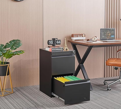 Guizeeopo 2 Drawer File Cabinet with Lock, Vertical File Cabinets for Home Office, Printer Stand, Heavy Duty Steel Office Storage Cabinet for Letter/Legal/A4, Assembly Required(Black)