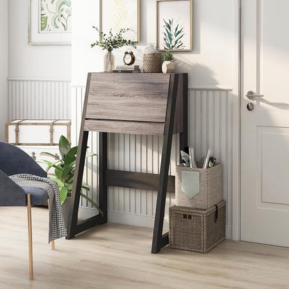 Furniture of America Thelos Drop-Down Surface Cabinet Storage, Computer Desk, Modern Simple Style Desk for Home Office, Study Student Writing Desk