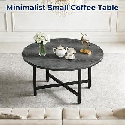 FAMIDGE Round Coffee Table, 23.6" Small Coffee Tables for Living Room, Circle Coffee Table with Metal Frame, Floor Table Desk for Sitting on The Floor, Home, Office, Grey