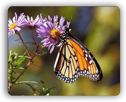 Monarch Butterfly Computer Mouse Pad