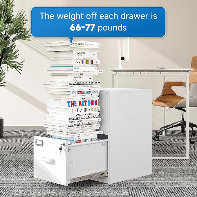 BYNSOE 2 Drawer File Cabinet with Lock Vertical Filing Storage Office Home Steel Vertical File Cabinets for Letter Size File Cabinet Locked,Assembly Required